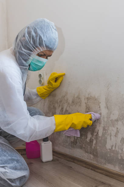 Best Comprehensive Air Testing for Mold Contaminants  in Wymore, NE