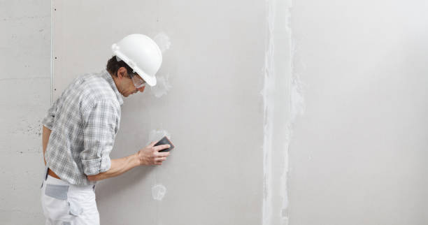 Best Attic Mold Removal  in Wymore, NE