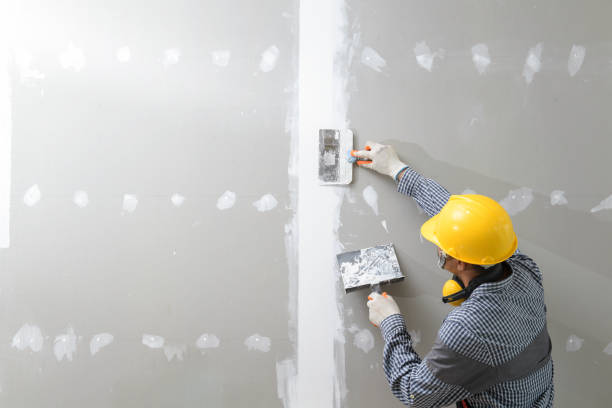 Best Post-Construction Mold Inspection  in Wymore, NE