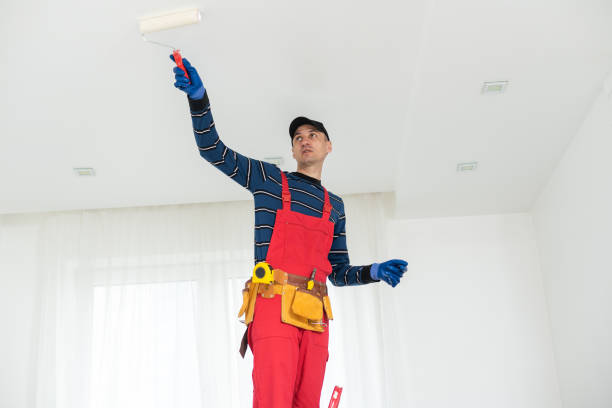 Best Black Mold Removal  in Wymore, NE