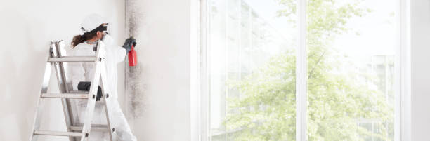  Wymore, NE Mold Removal Pros