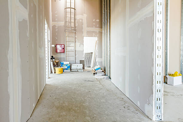Best Mold-Related Health Consultation  in Wymore, NE