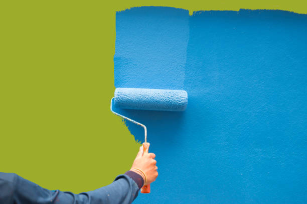 Best Mold Documentation for Insurance Claims  in Wymore, NE